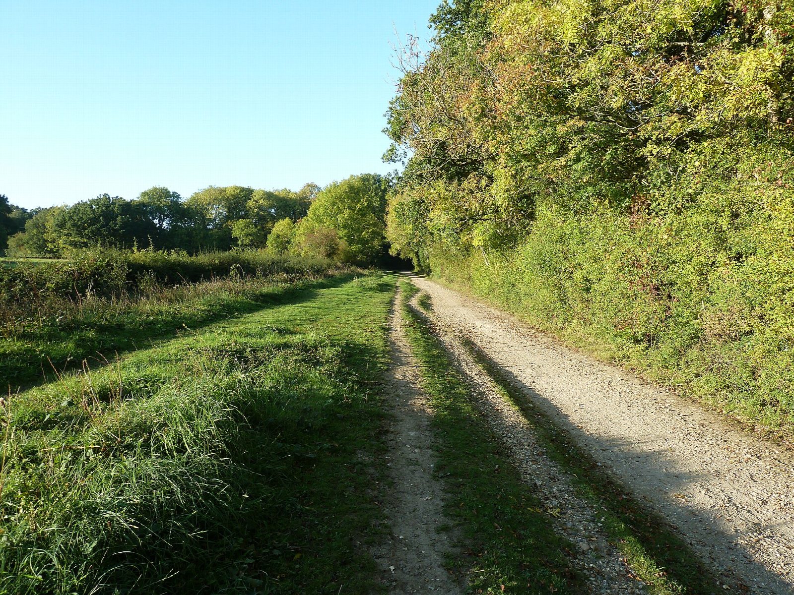 The Downs Link from Southwater to Henfield