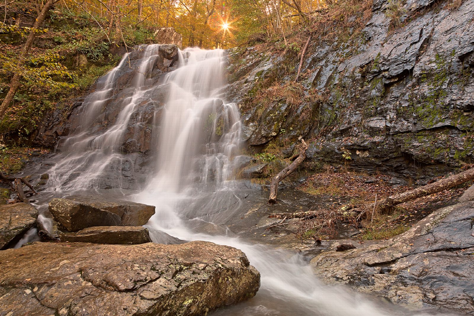 Doyles River and Jones Run Falls Loop