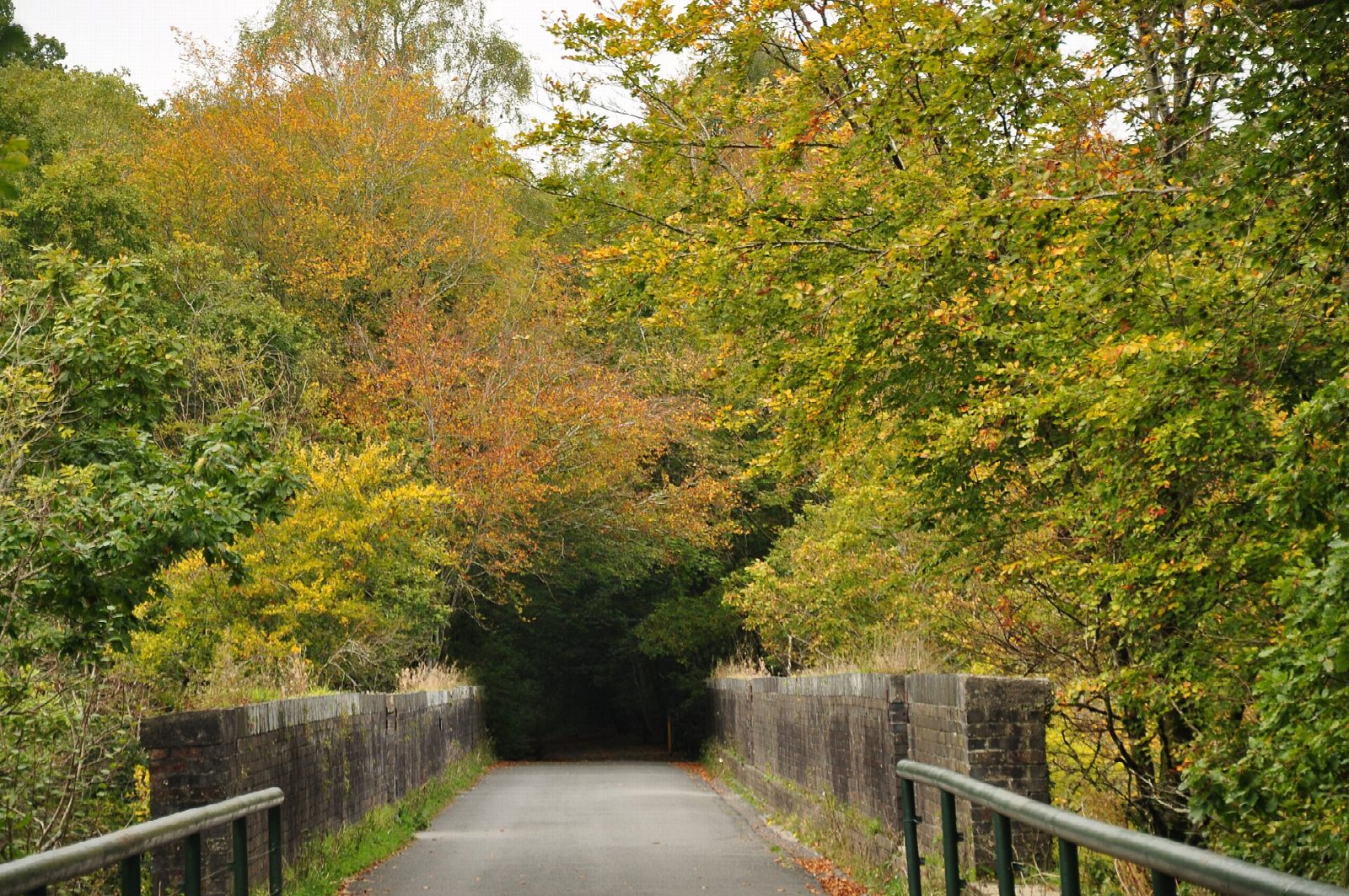 Drake's Trail up the Plym Valley from Plymbridge