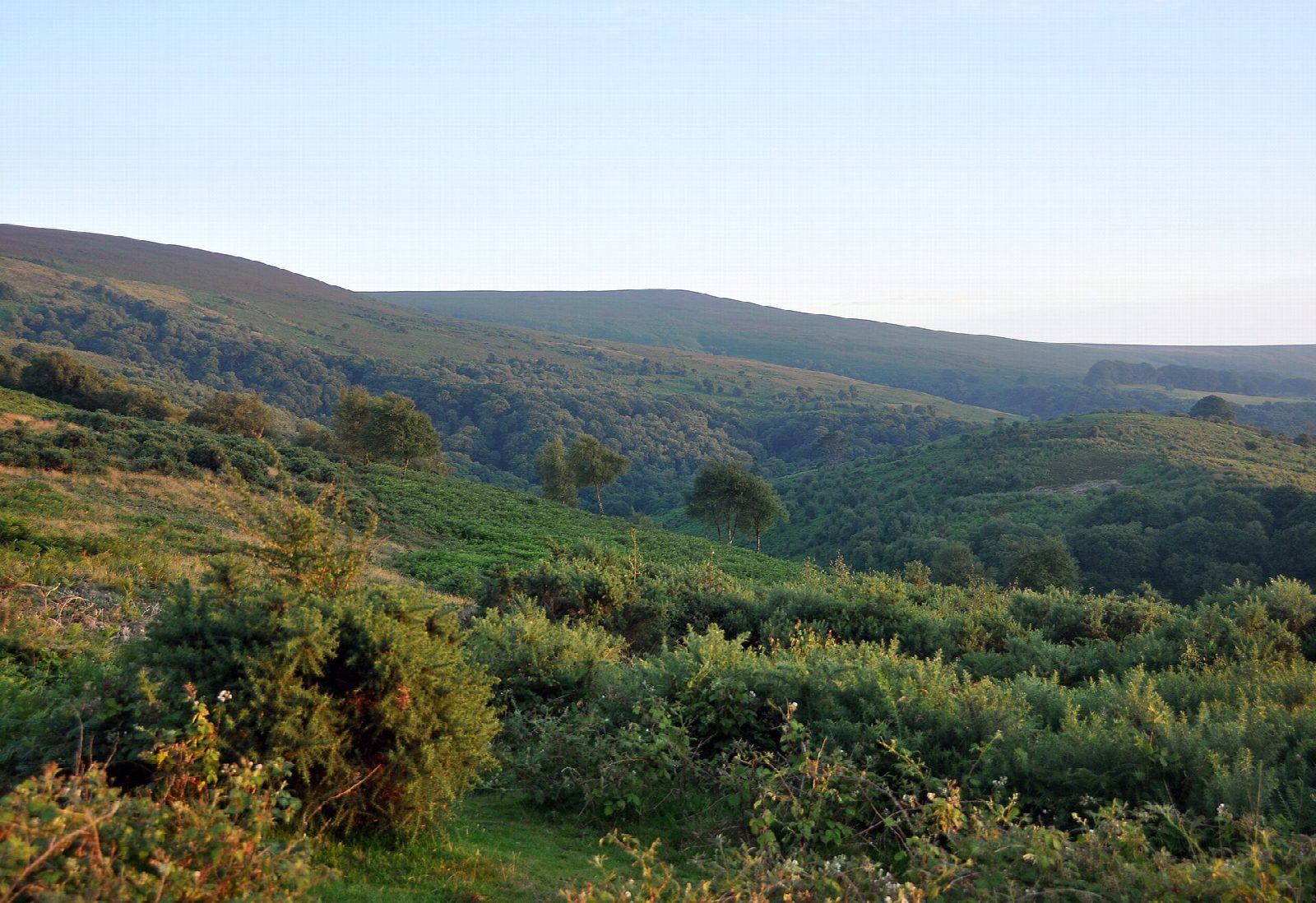 Dunkery Beacon from Webber's Post