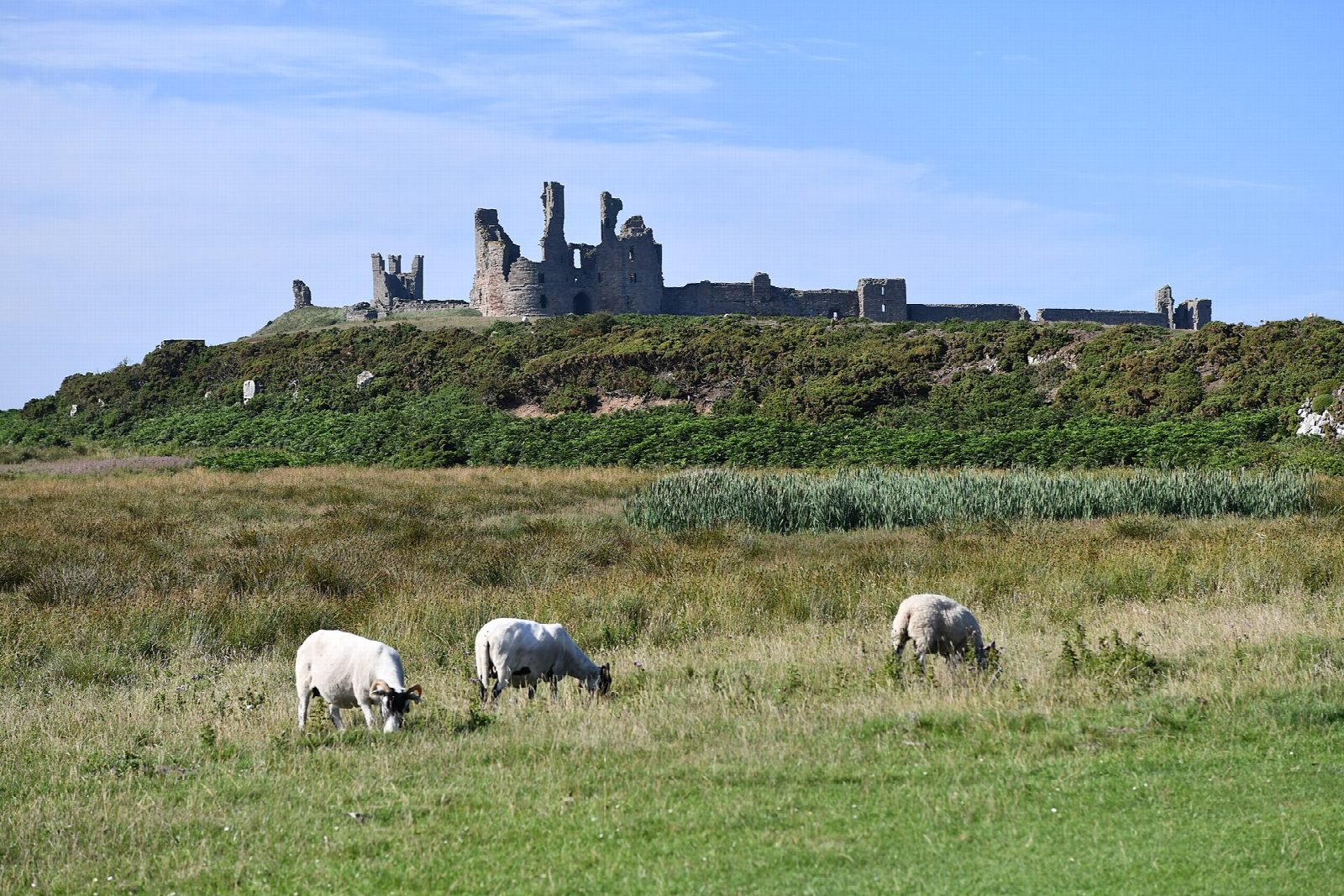 Dunstanburgh Castle and Embleton Bay from Craster