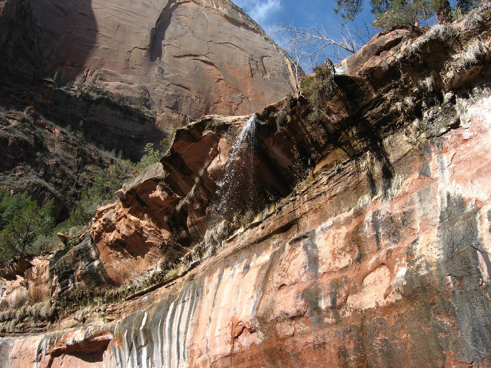 Emerald Pools from Zion Lodge