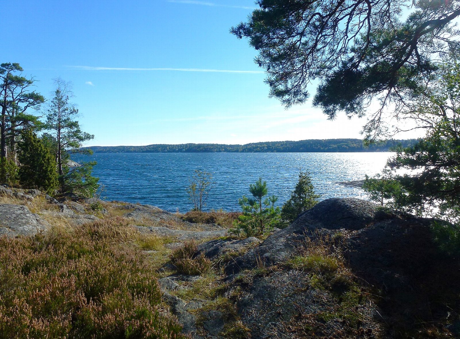 Erstaviken: Erstaviksbadet to the Svärdsö shore and back
