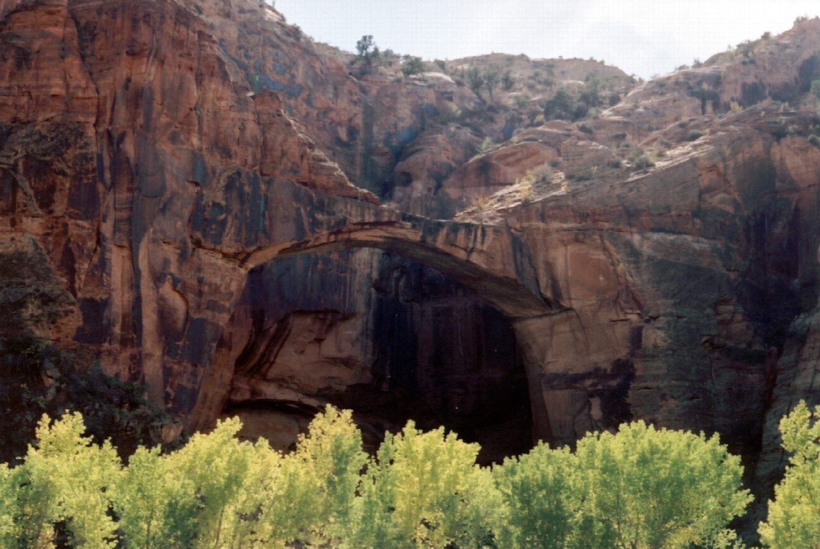 Escalante Natural Bridge