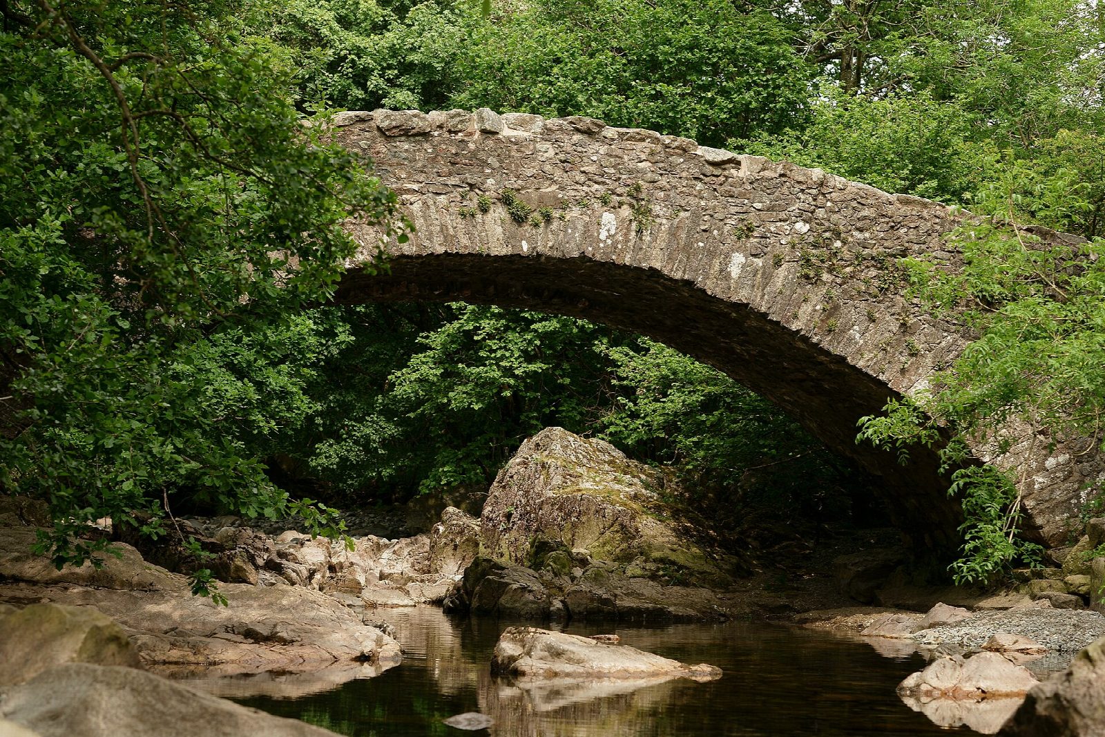 The River Esk and Stanley Ghyll from Dalegarth