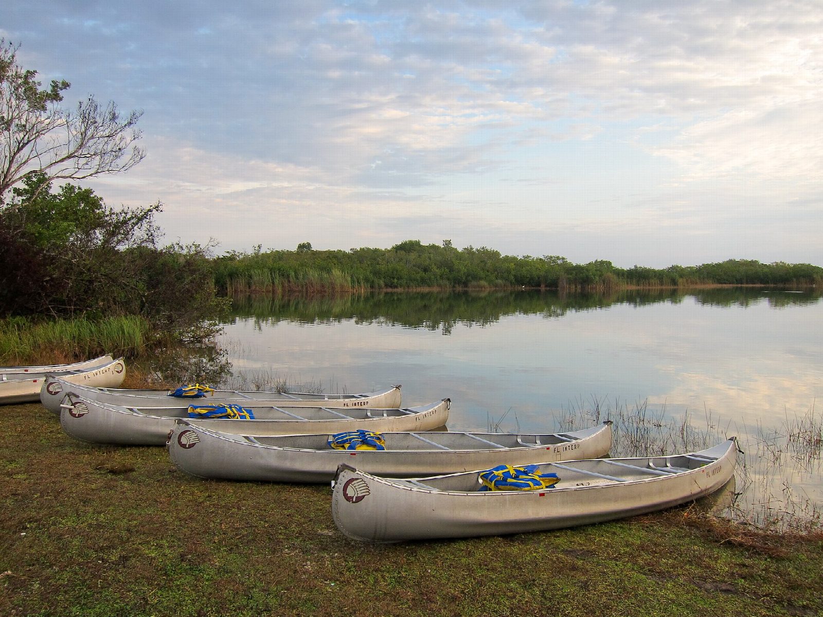 Everglades: Nine Mile Pond canoe trail