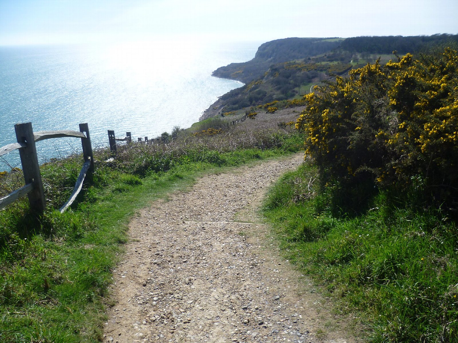 Fairlight Glen and Warren Glen in Hastings Country Park