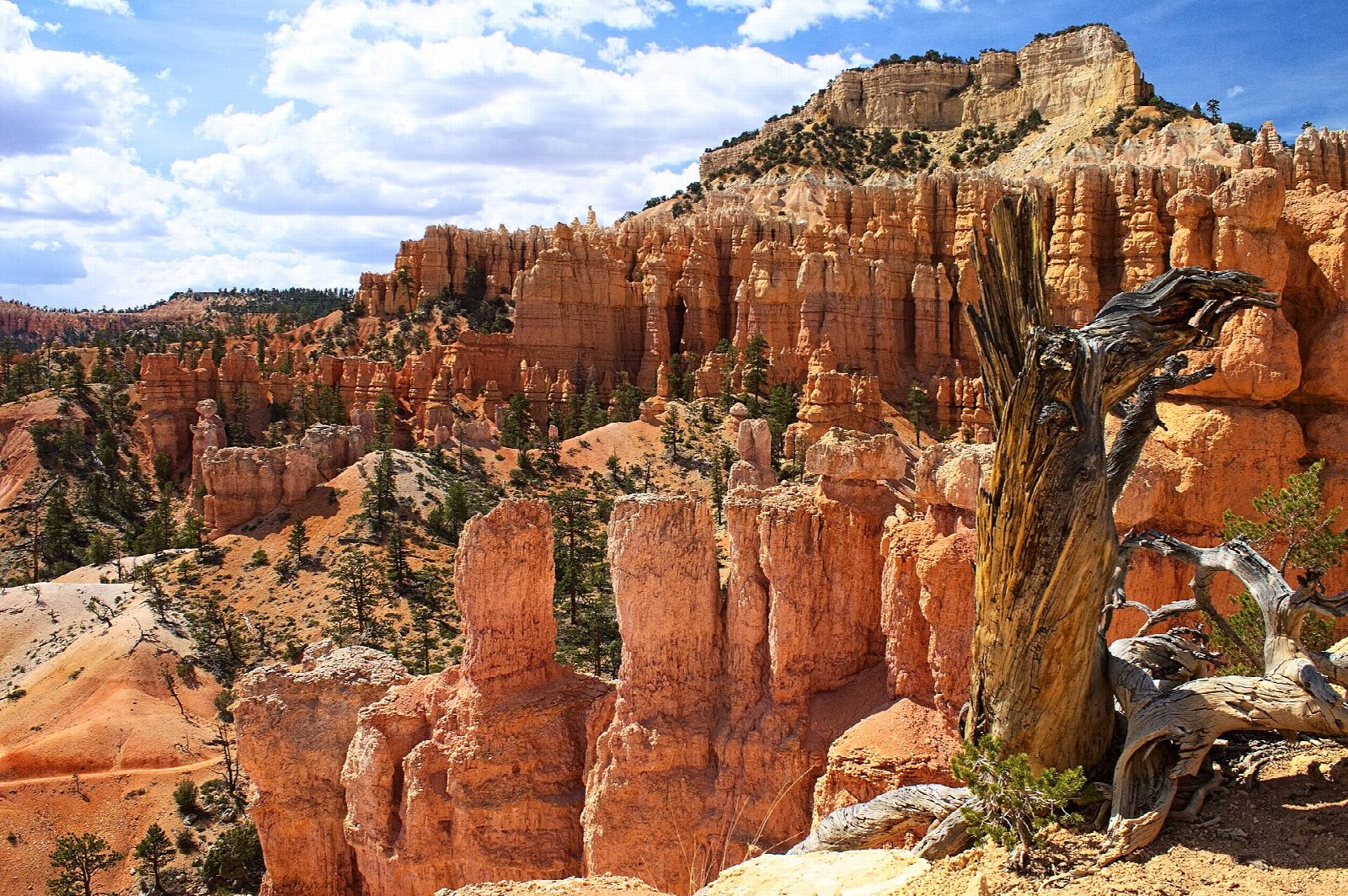 Fairyland Loop