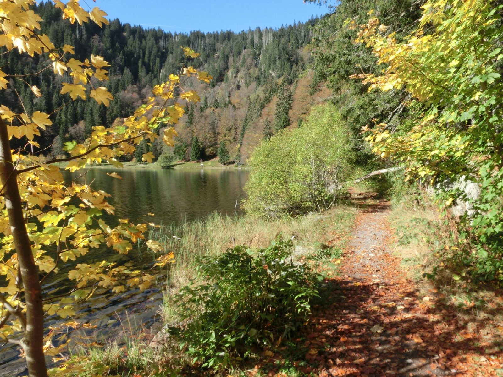 Feldberg and the Feldsee from Feldberg-Ort