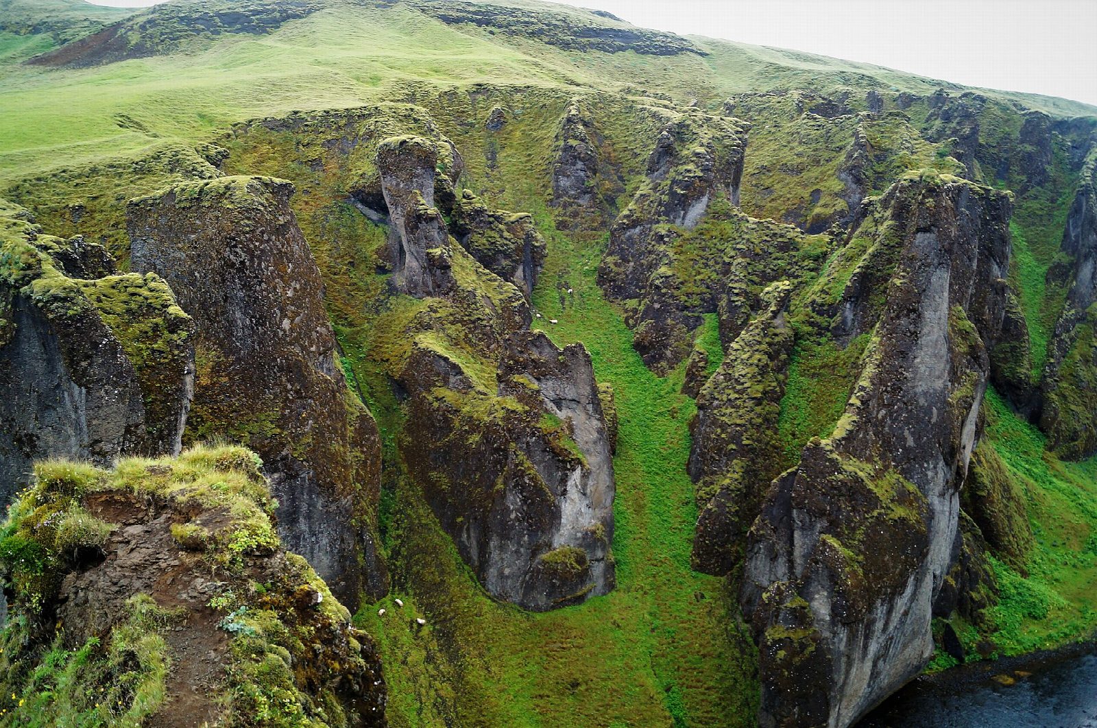 Fjaðrárgljúfur canyon rim