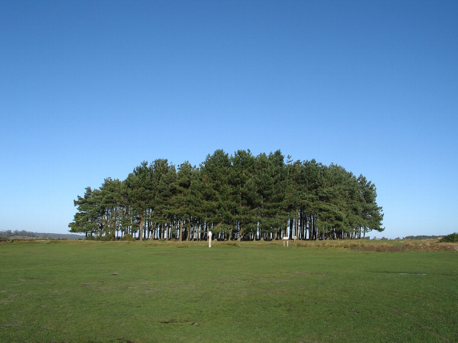 Friends Clump and Nutley Windmill