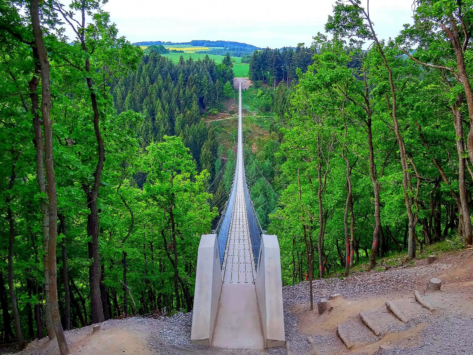 Geierlay suspension bridge from Mörsdorf
