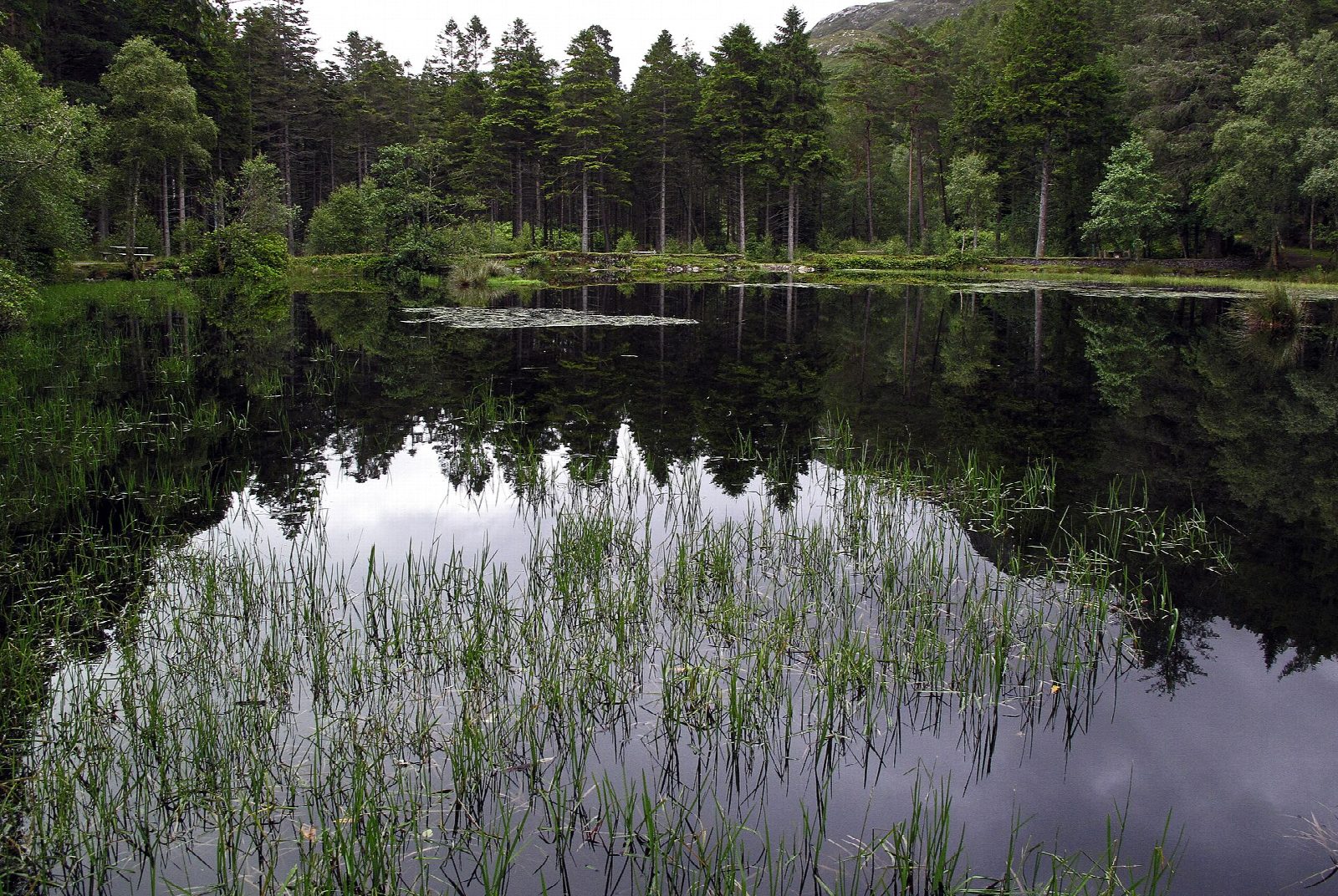 Glencoe Lochan trails