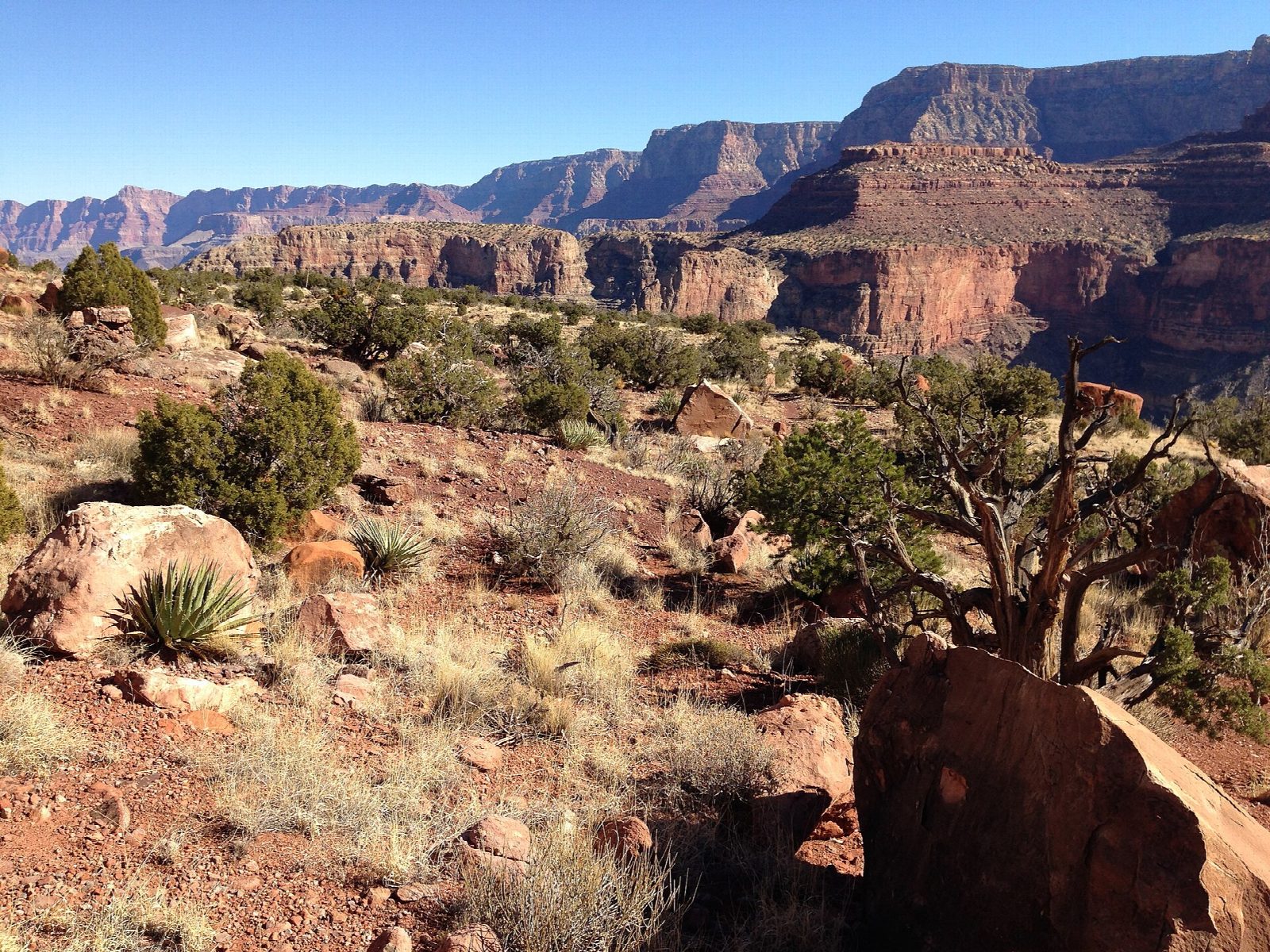 Grandview Trail to Horseshoe Mesa