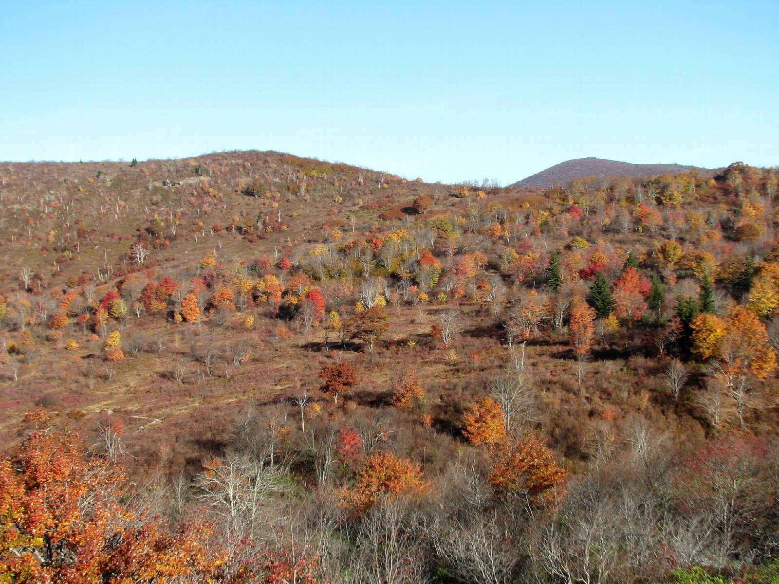 Graveyard Fields and its Waterfalls