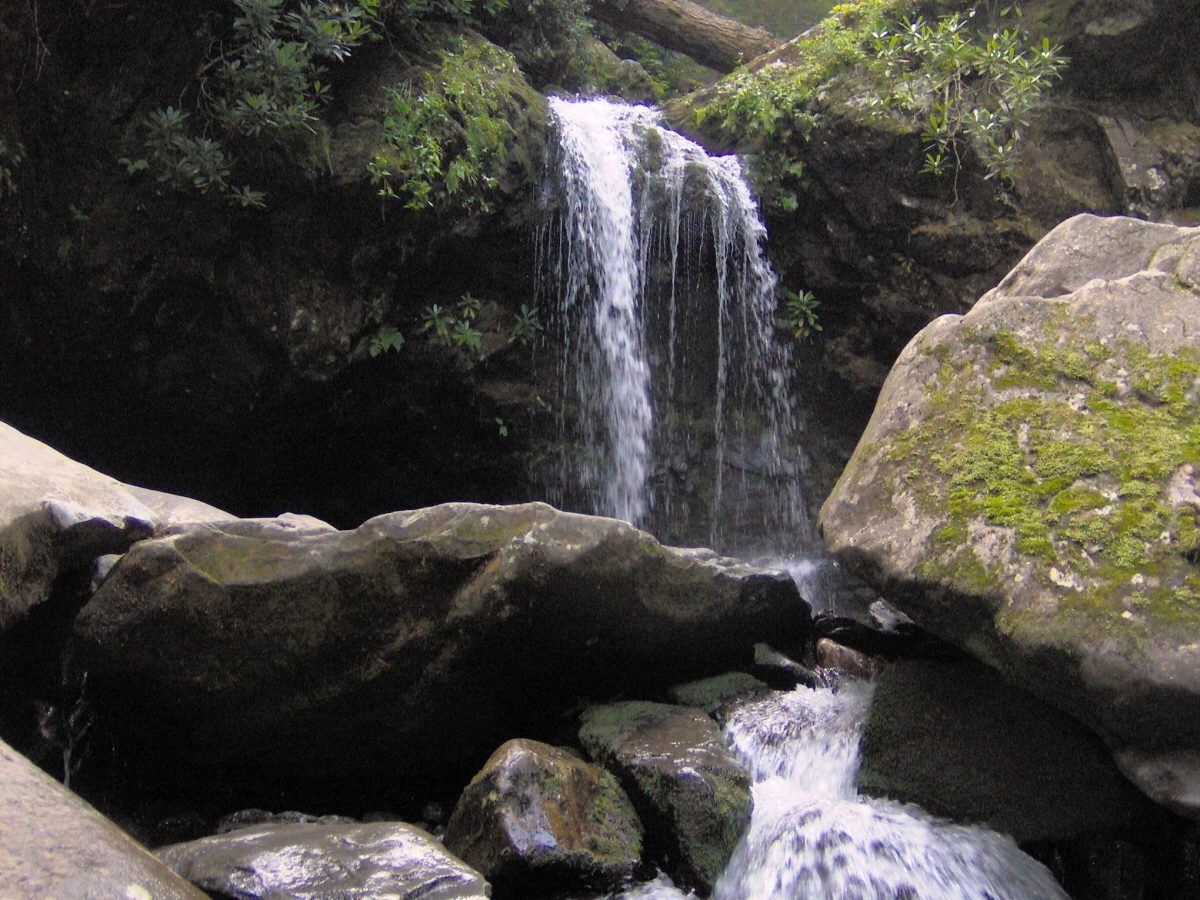 Grotto Falls by the Trillium Gap Trail