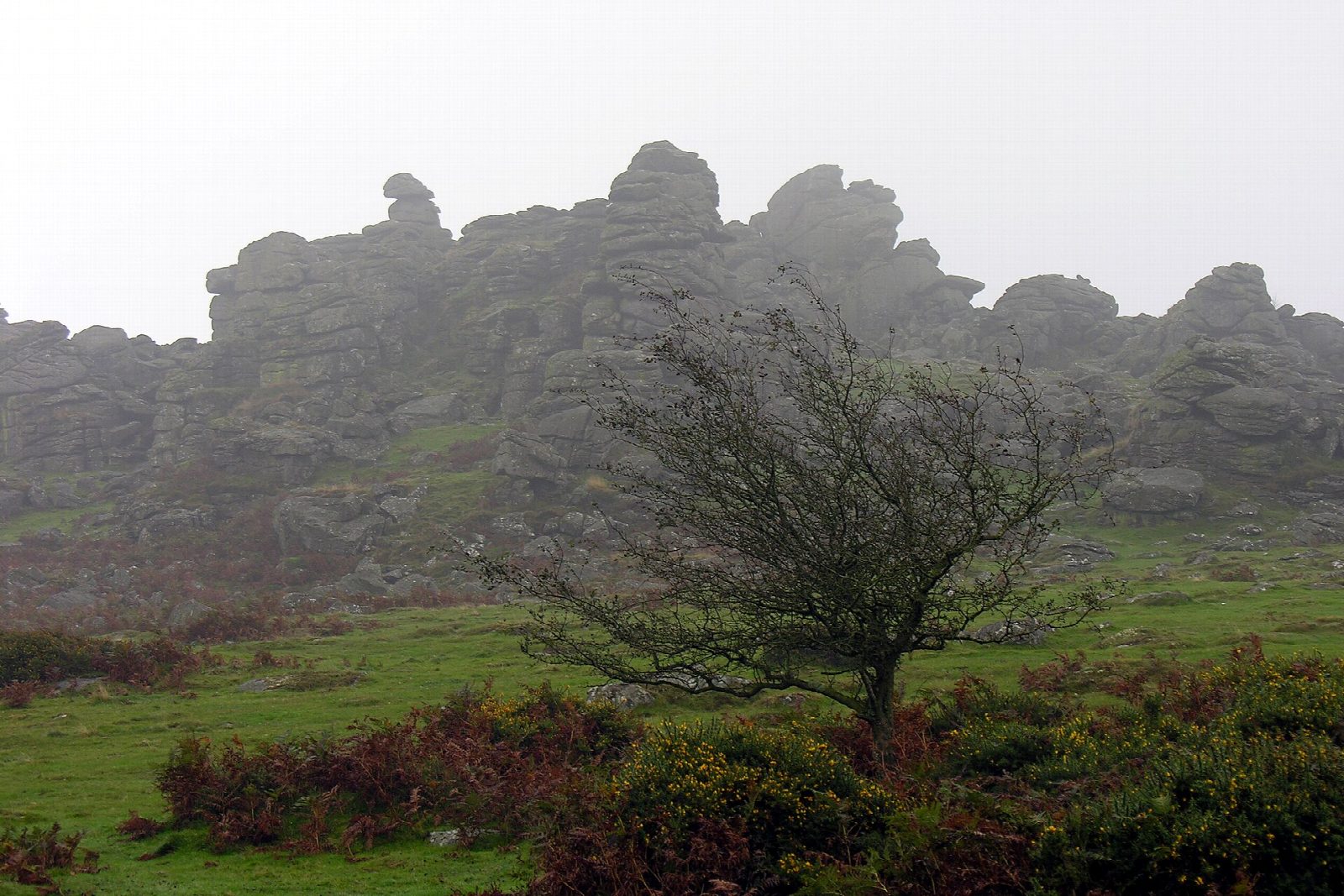 Haytor Rocks and Hound Tor