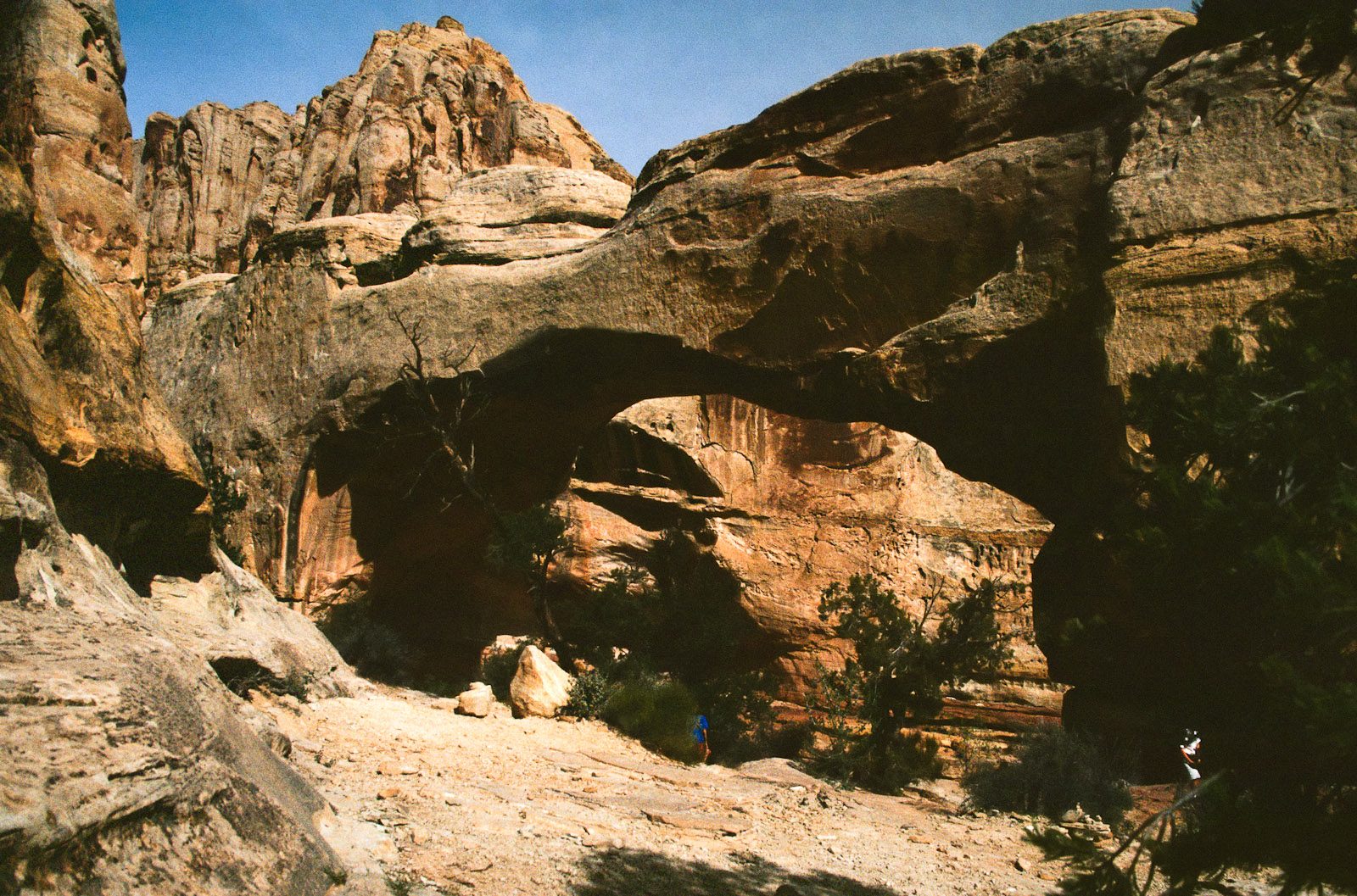 Hickman Bridge