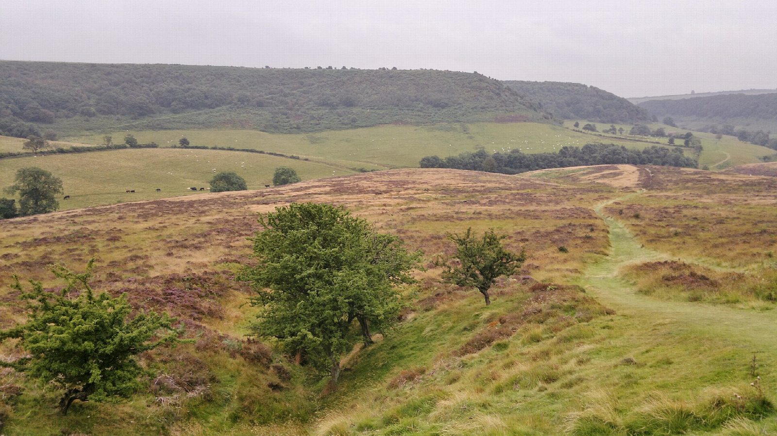 The Hole of Horcum and Levisham Moor