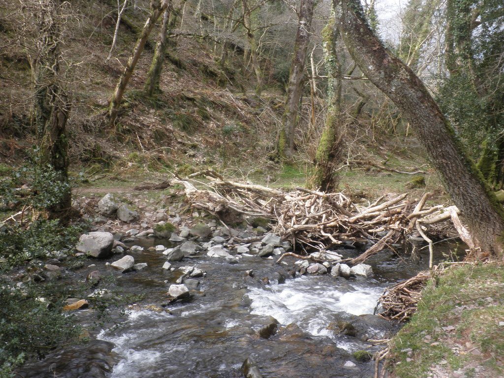 Horner Wood and Webber's Post from Horner