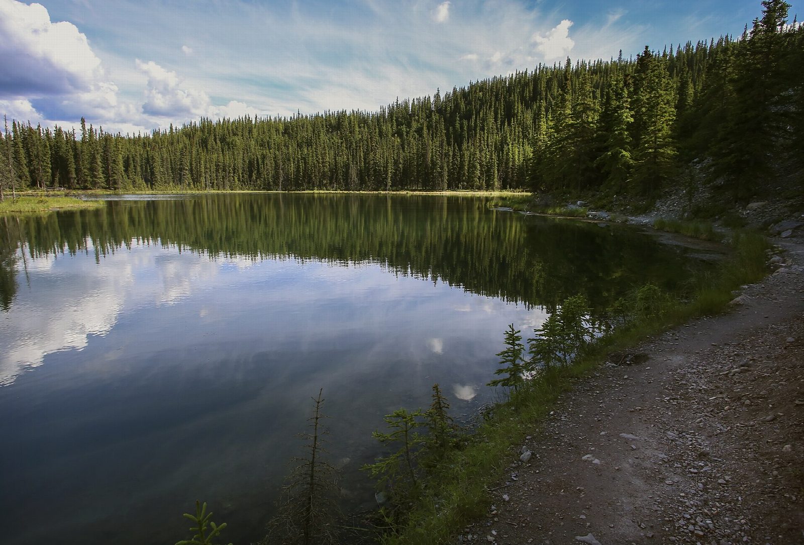 Horseshoe Lake, Denali