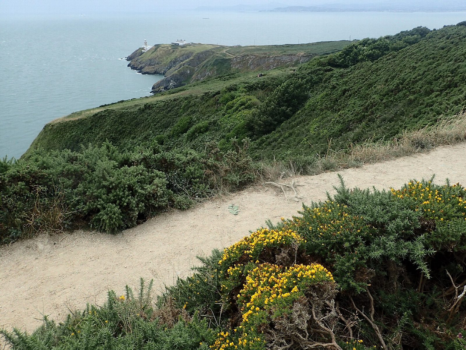 Howth Head cliff path and the Bog of the Frogs