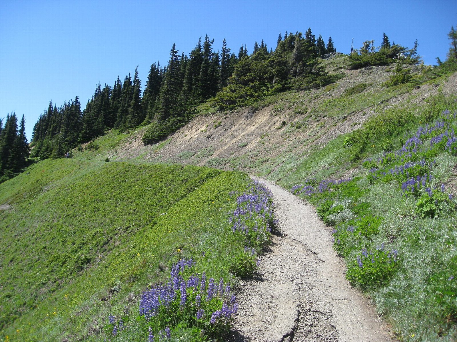 Hurricane Hill
