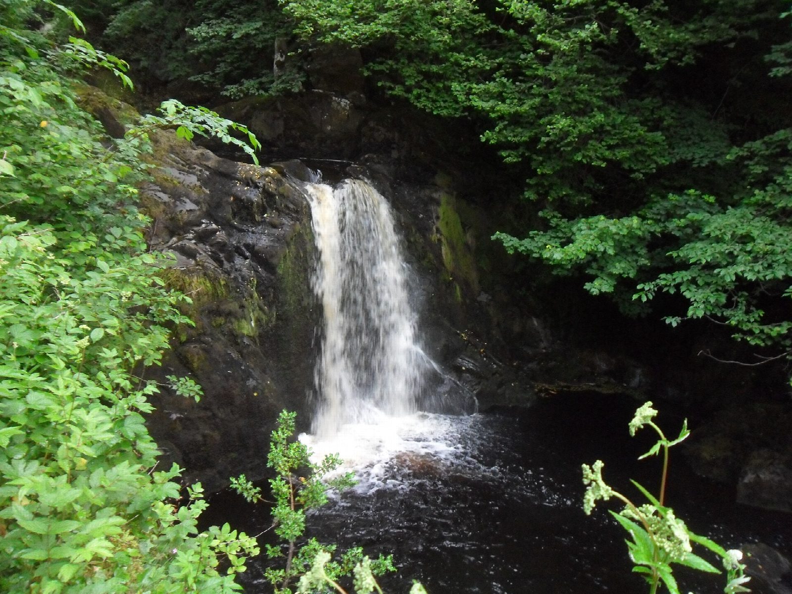 Ingleton Waterfalls Trail
