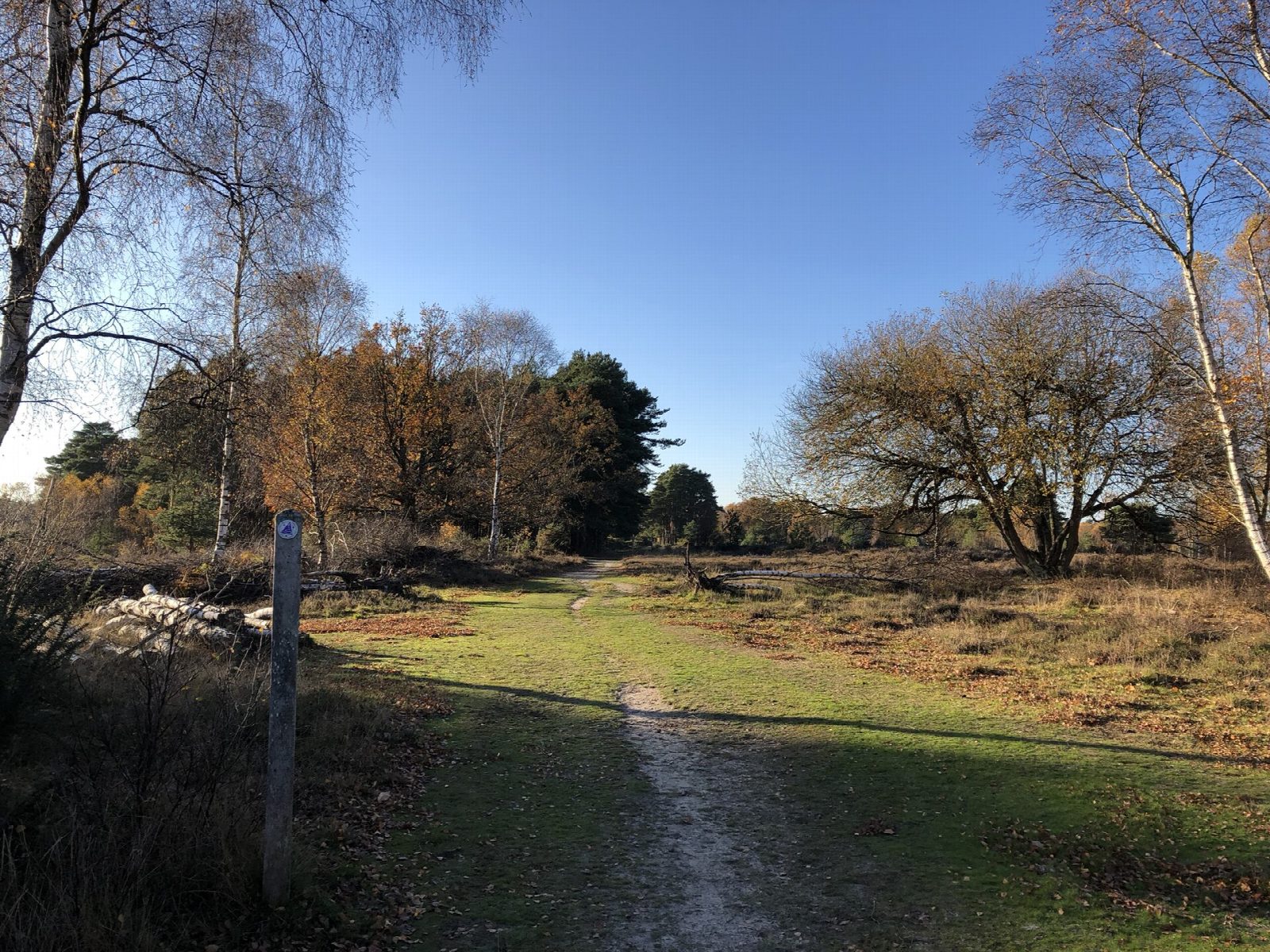 Iping and Stedham Commons