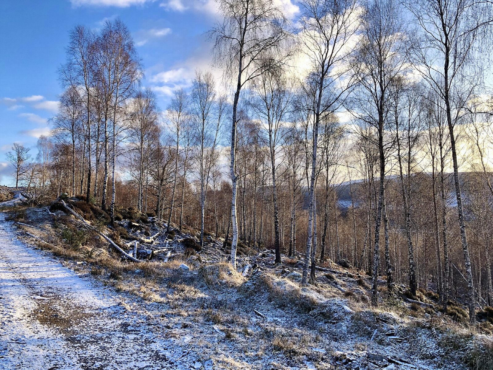 The old military road above Fort Augustus