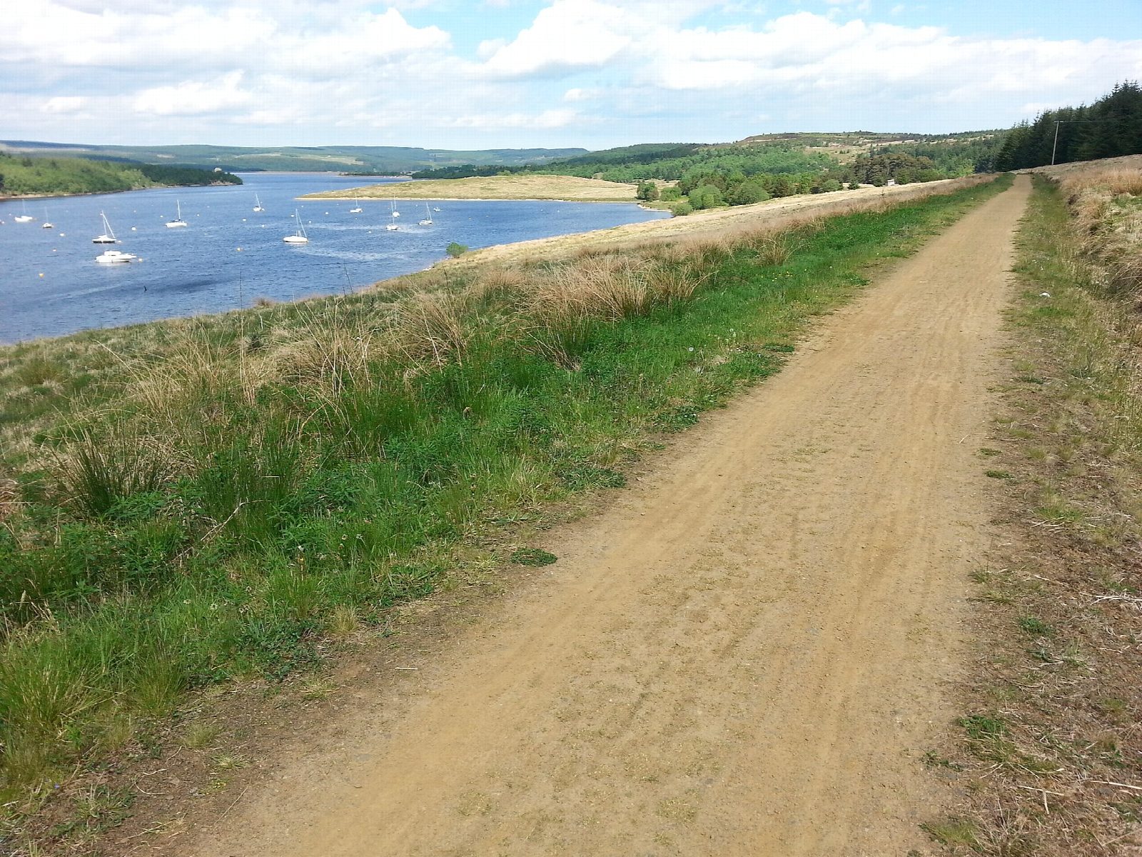 The Lakeside Way round Kielder Water