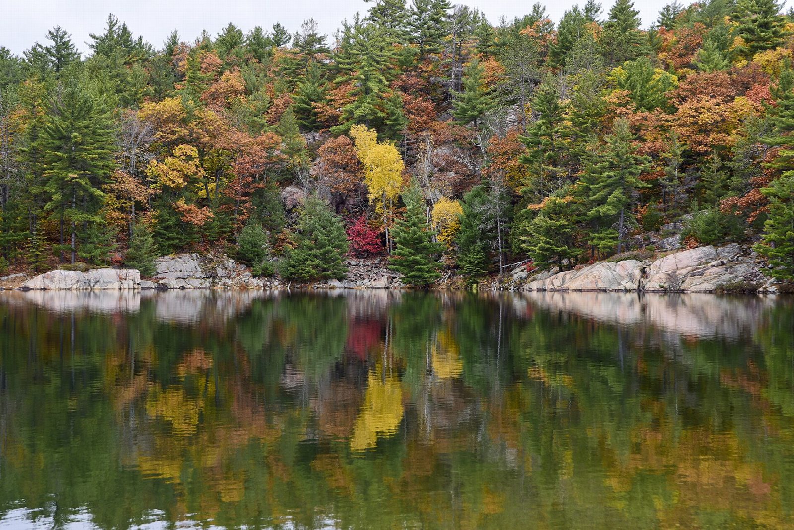 Killarney: the length of George Lake
