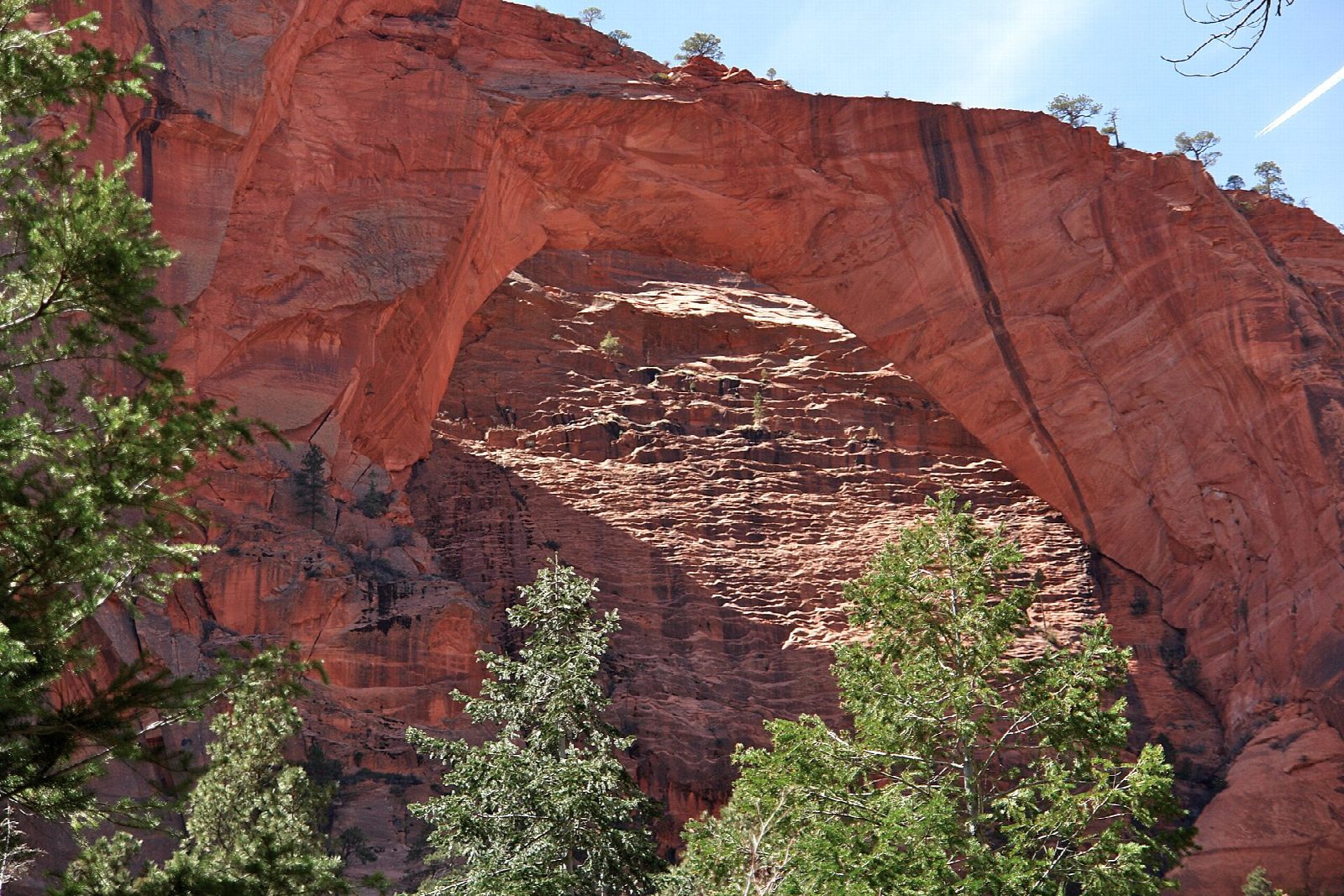 Kolob Arch from Lee Pass