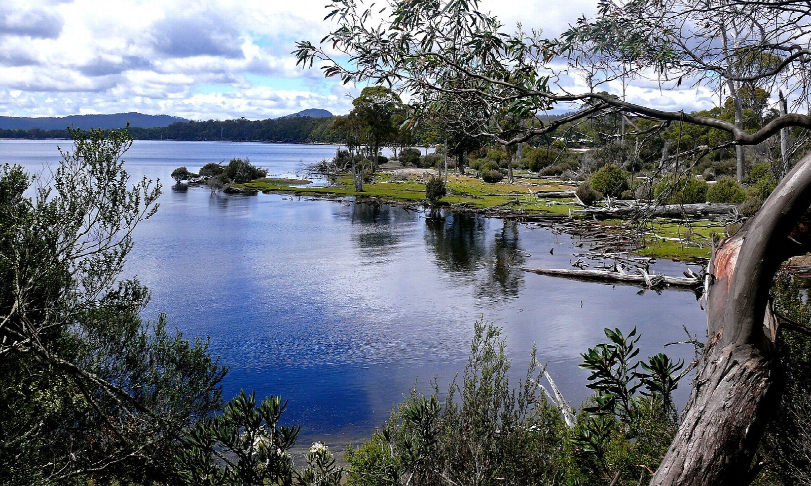Lake St Clair: Cynthia Bay to Platypus Bay