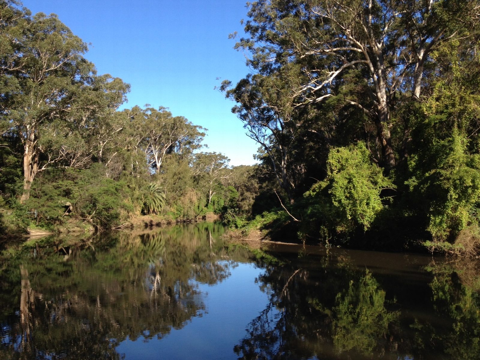 Lane Cove River: the boatshed to De Burghs Bridge