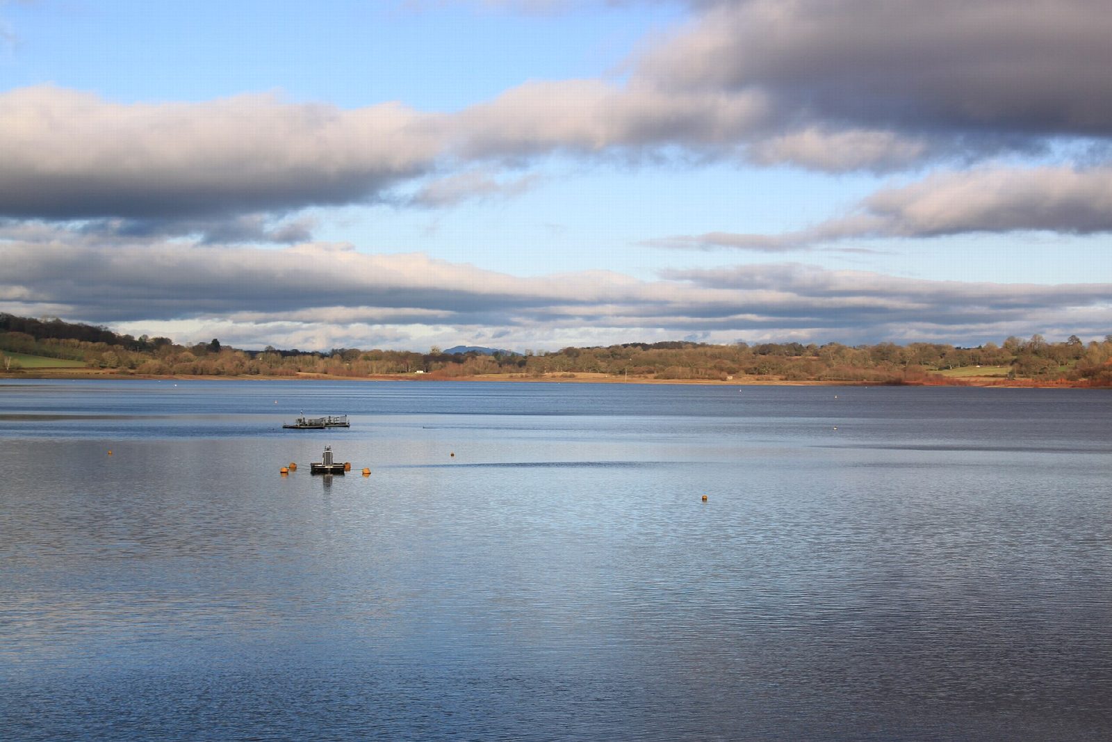 Llandegfedd Lake: round the reservoir