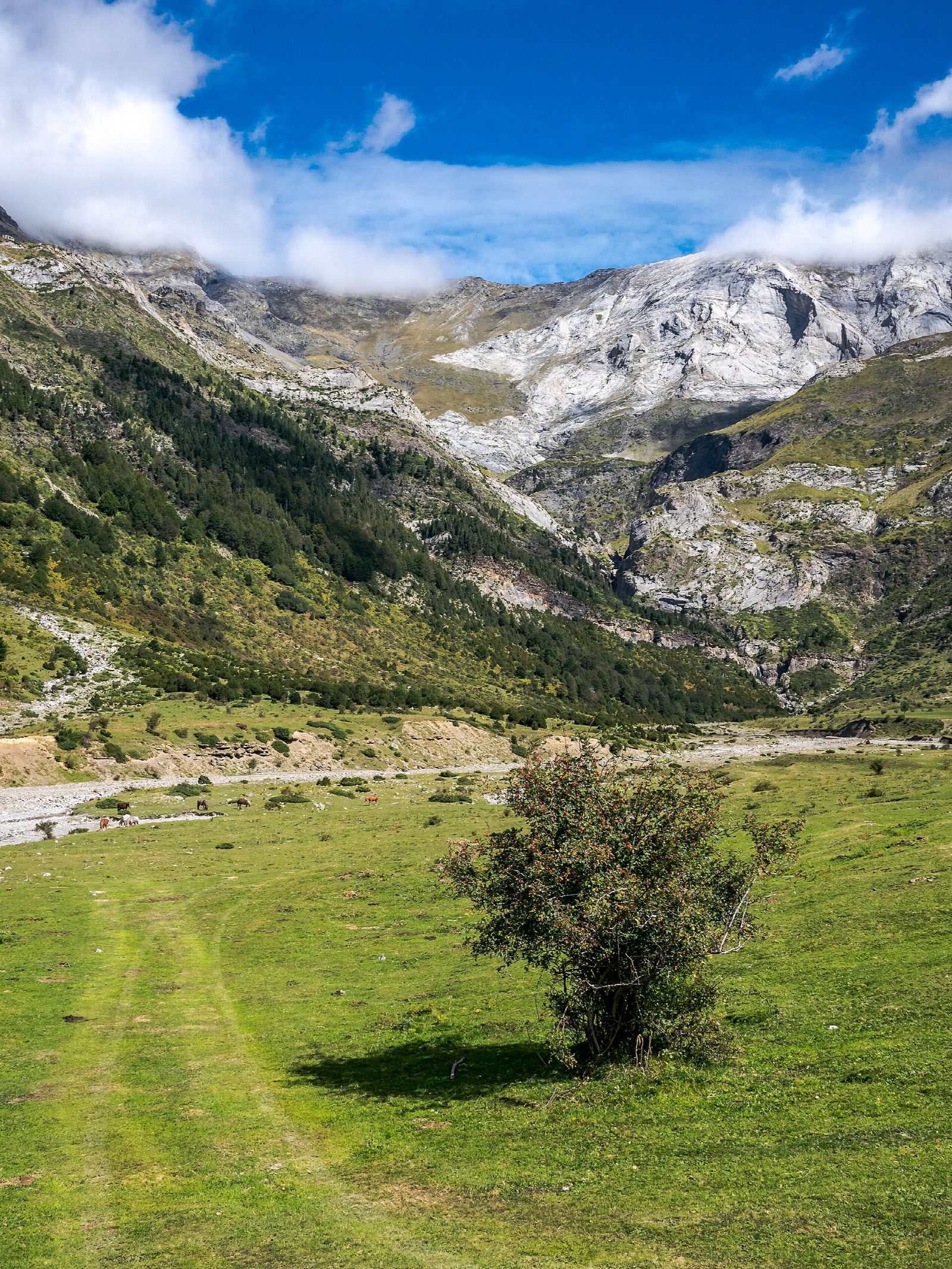 Llanos de La Larri from Pineta