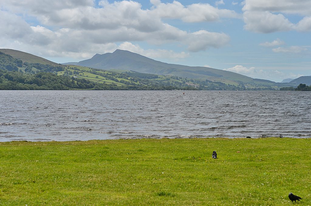Llyn Tegid: Bala to Llangower and back