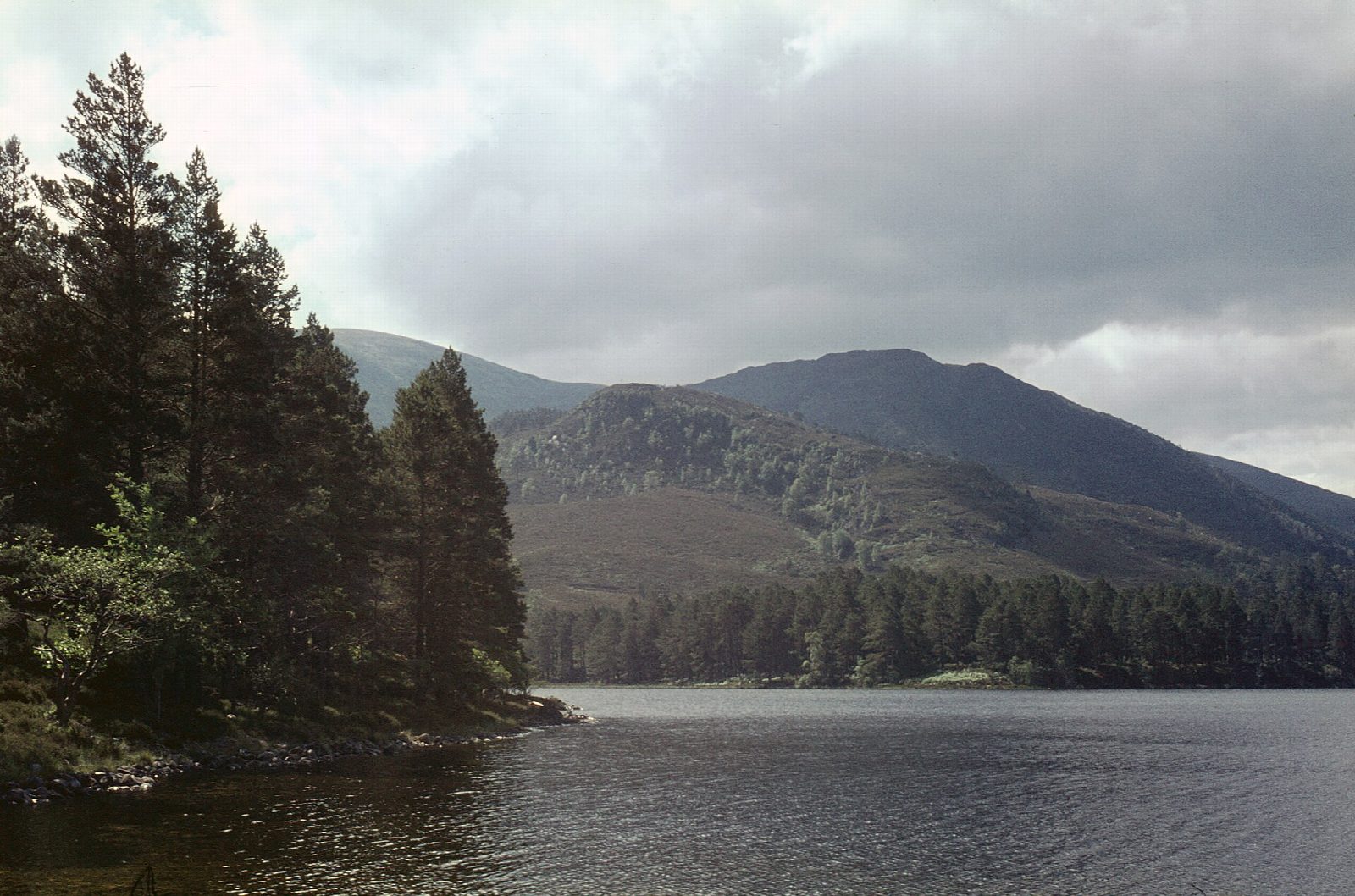 Loch an Eilein and Loch Gamhna