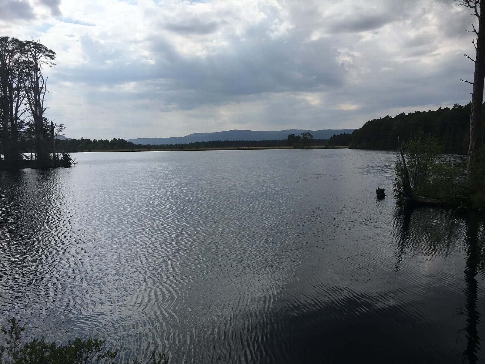 Loch Garten and Loch Mallachie
