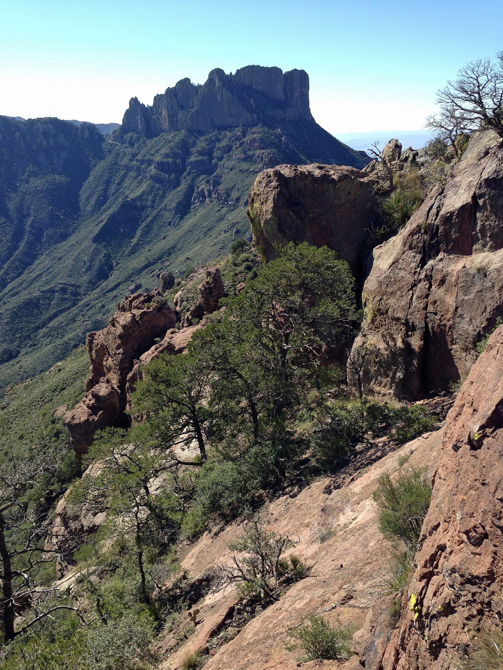 Lost Mine Trail