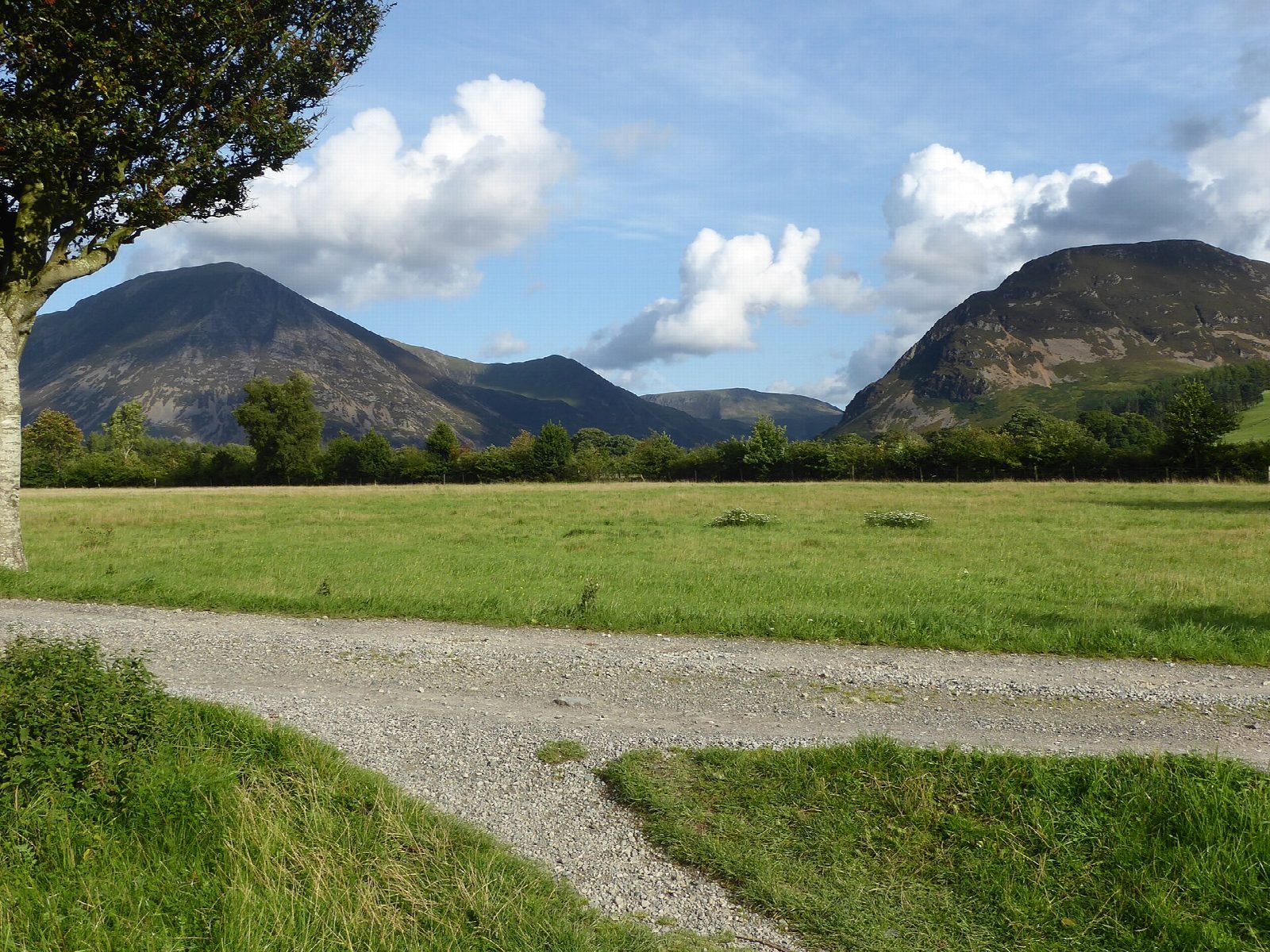 Loweswater and Holme Wood