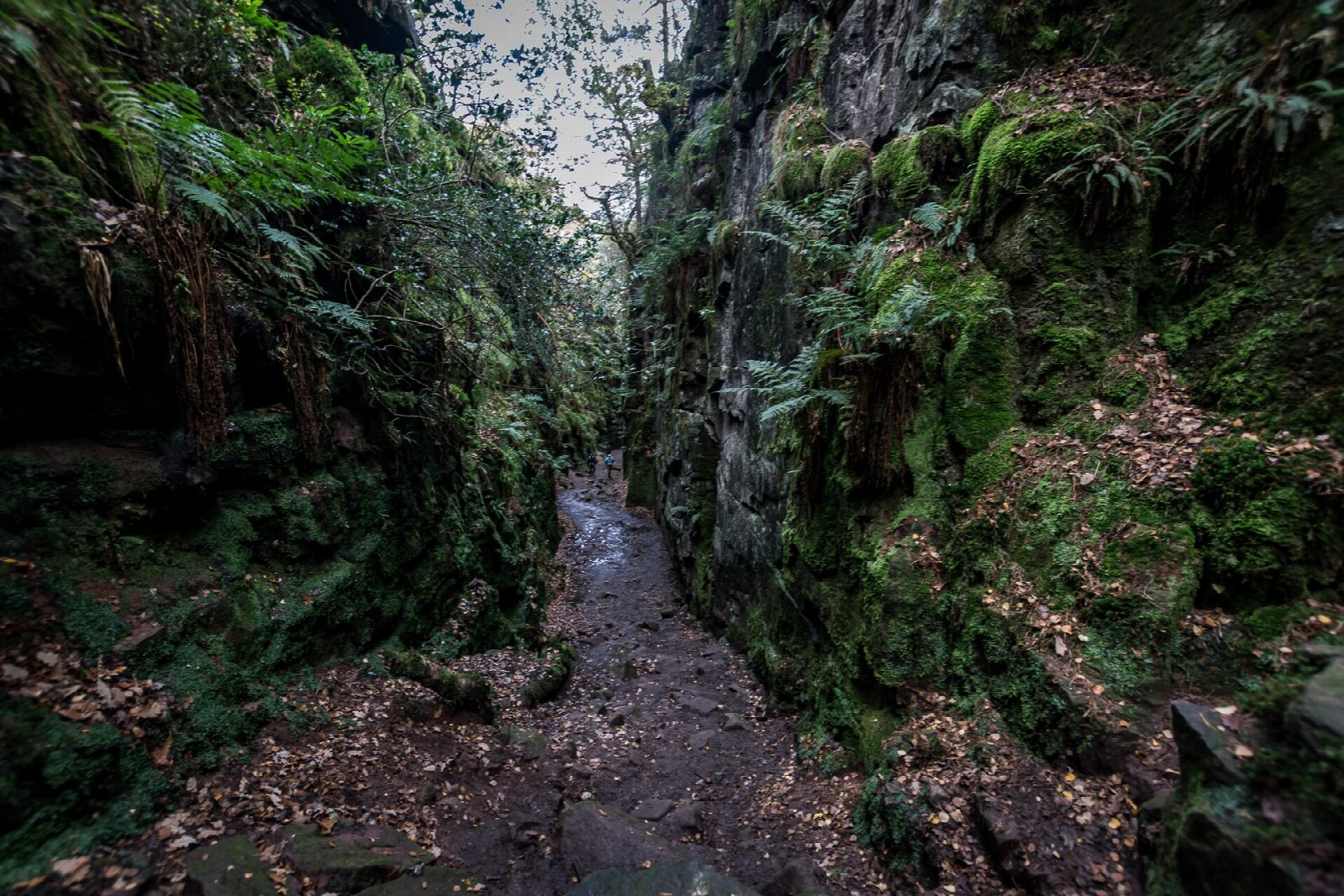 Lud's Church from Gradbach