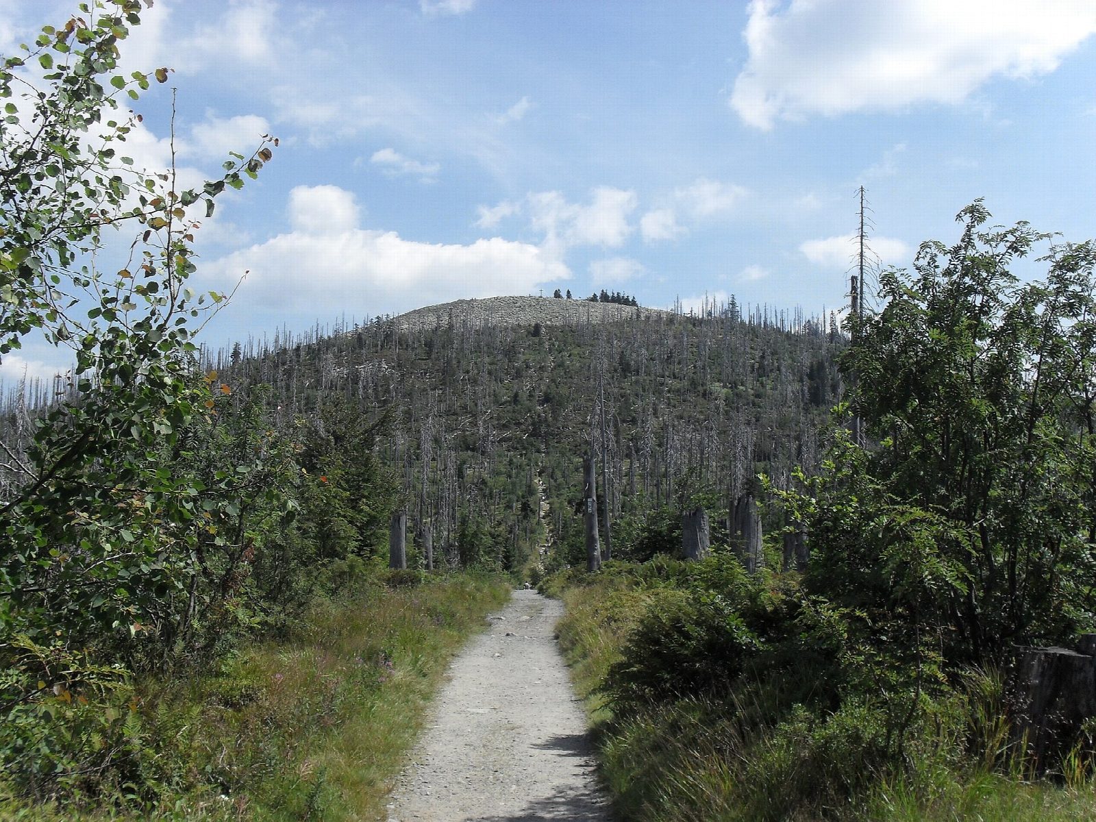 Lusen from Waldhausreibe
