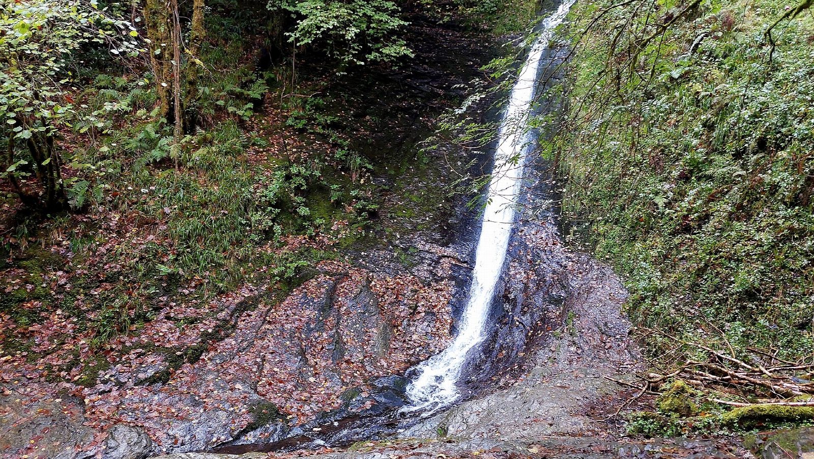 Lydford Gorge and the Whitelady Waterfall