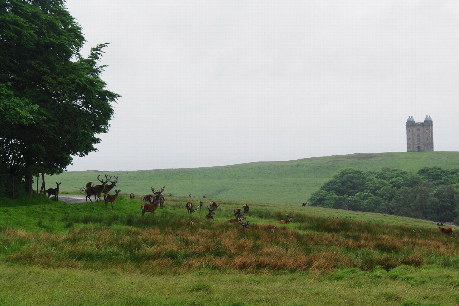 Lyme Park: the Cage and the Bowstones