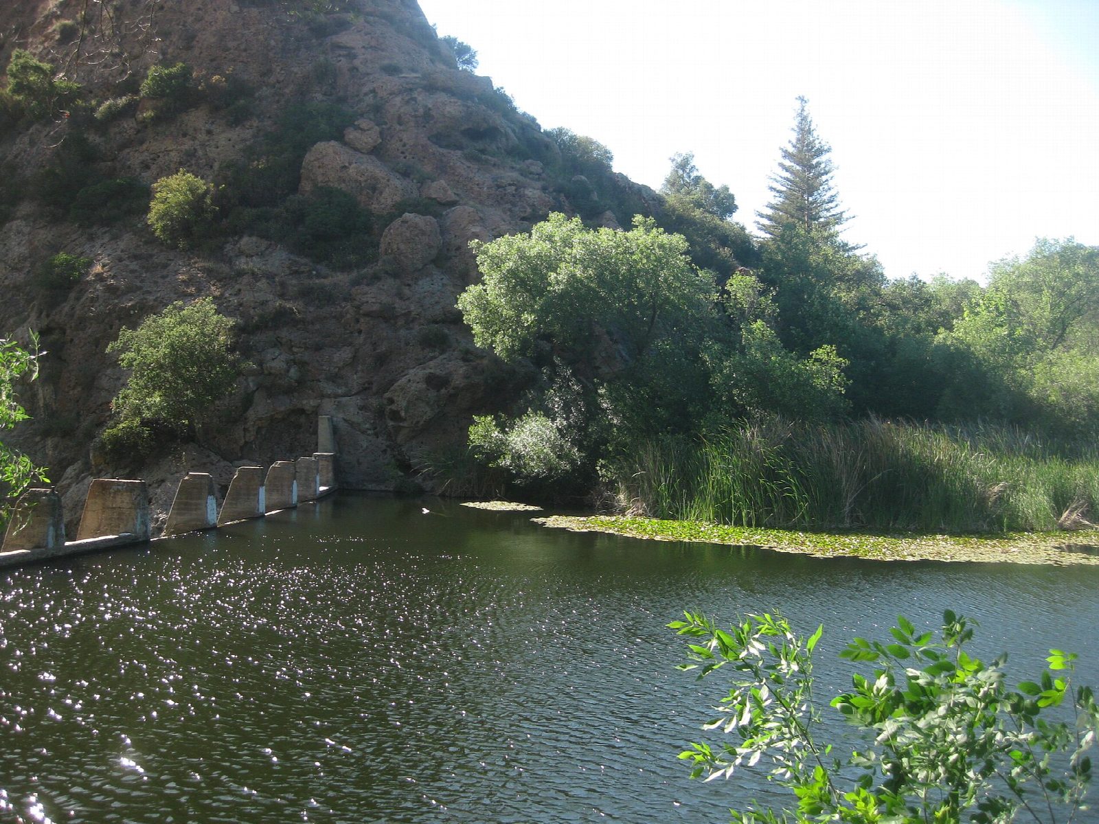 Rock Pool and Century Lake, Malibu Creek