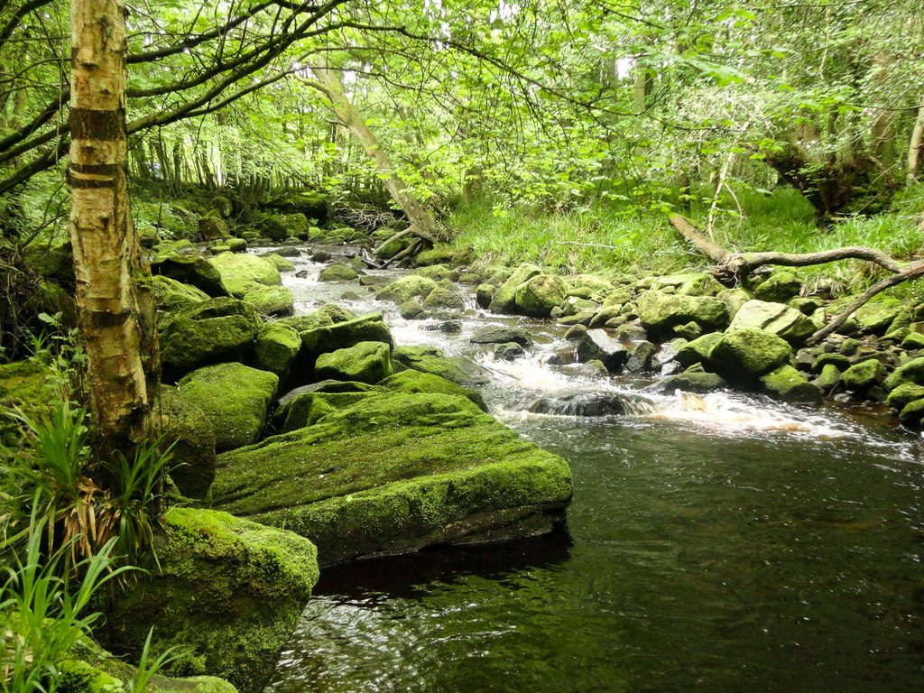 Mallyan Spout and Beck Hole from Goathland