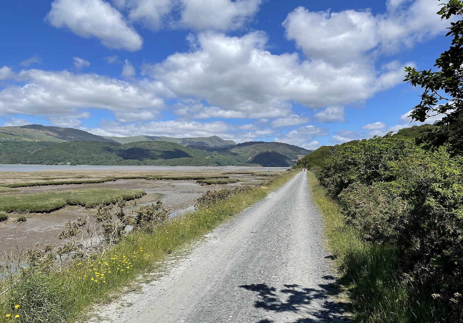The Mawddach Trail from Dolgellau to Barmouth