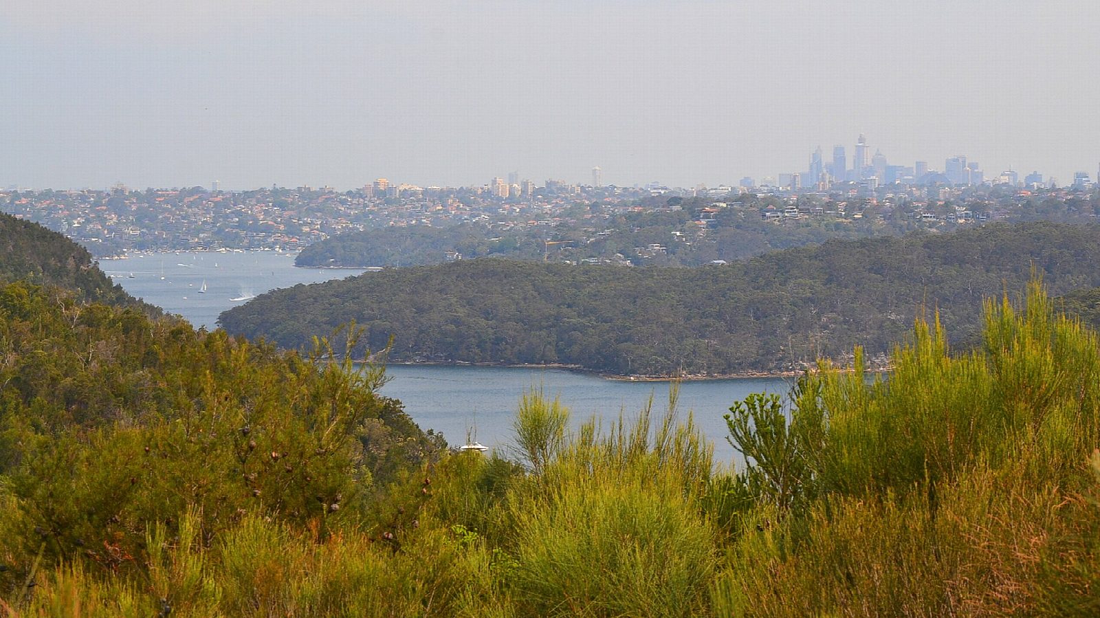 Middle Harbour: Davidson Park to Bantry Bay